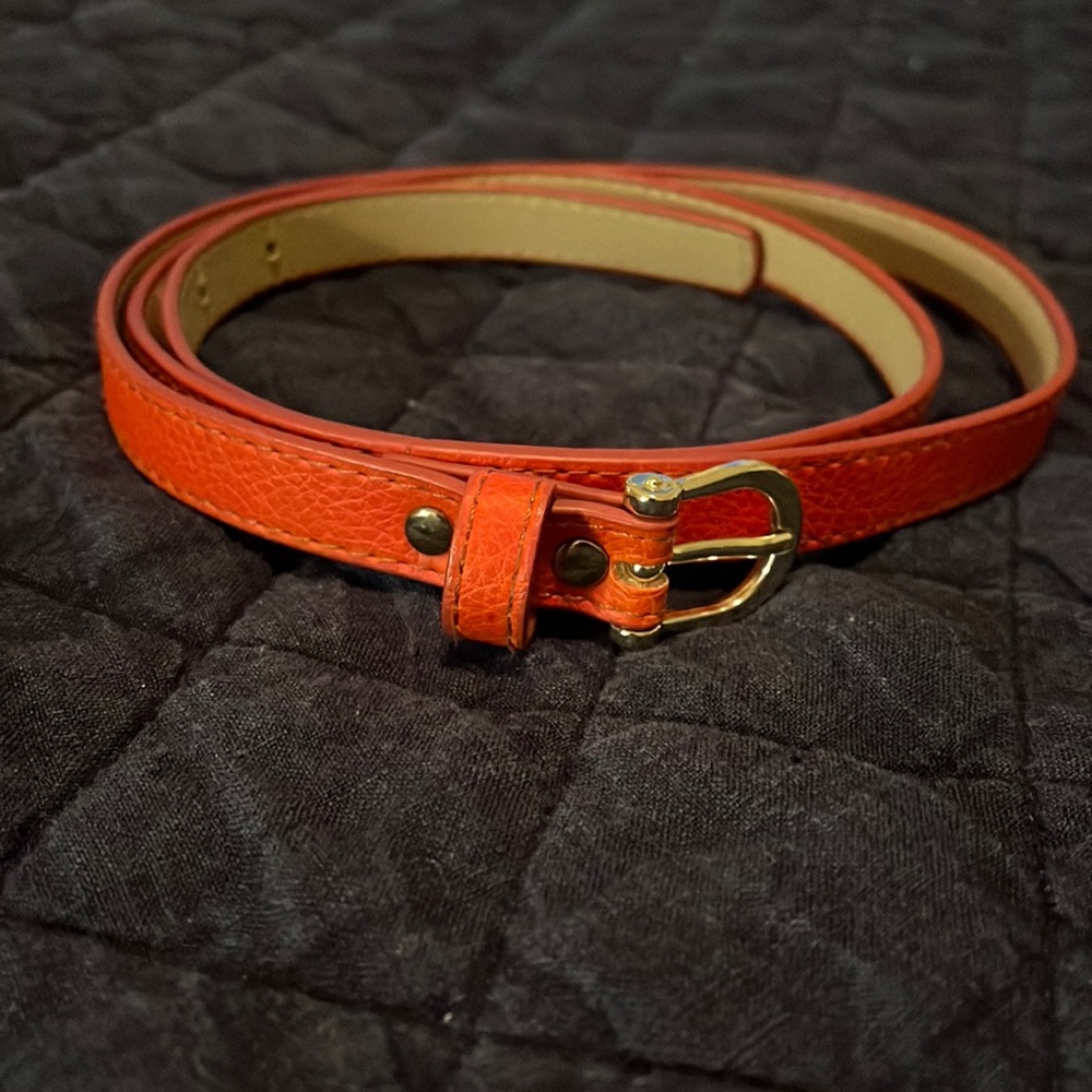 Skinny belt. H&M, orange. Size Large. Hips or waist. Gold clasp, five holes.